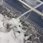 OR Foam Spray
